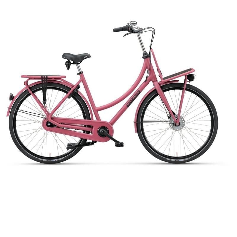 Batavus PACKD Plus 7 - 2023 - 28 Zoll - Doppelrohr