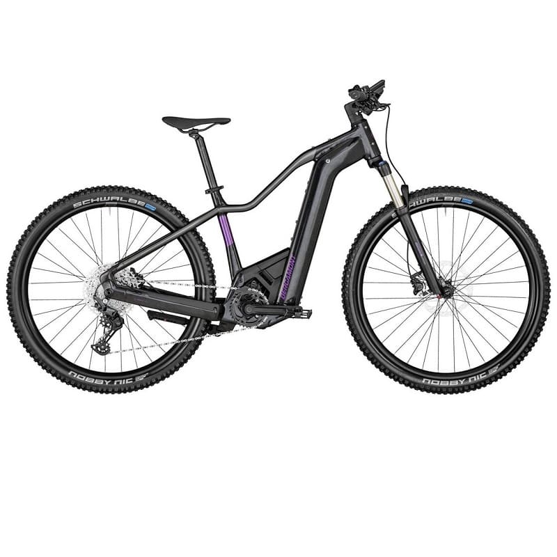 Bergamont E-Revox Premium Expert FMN - 750 Wh - Auslaufmodell - 29 Zoll - Diamant
